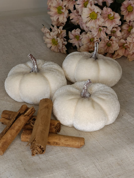 White pumpkins with stems, cinnamon sticks, and pink flowers on a textured surface