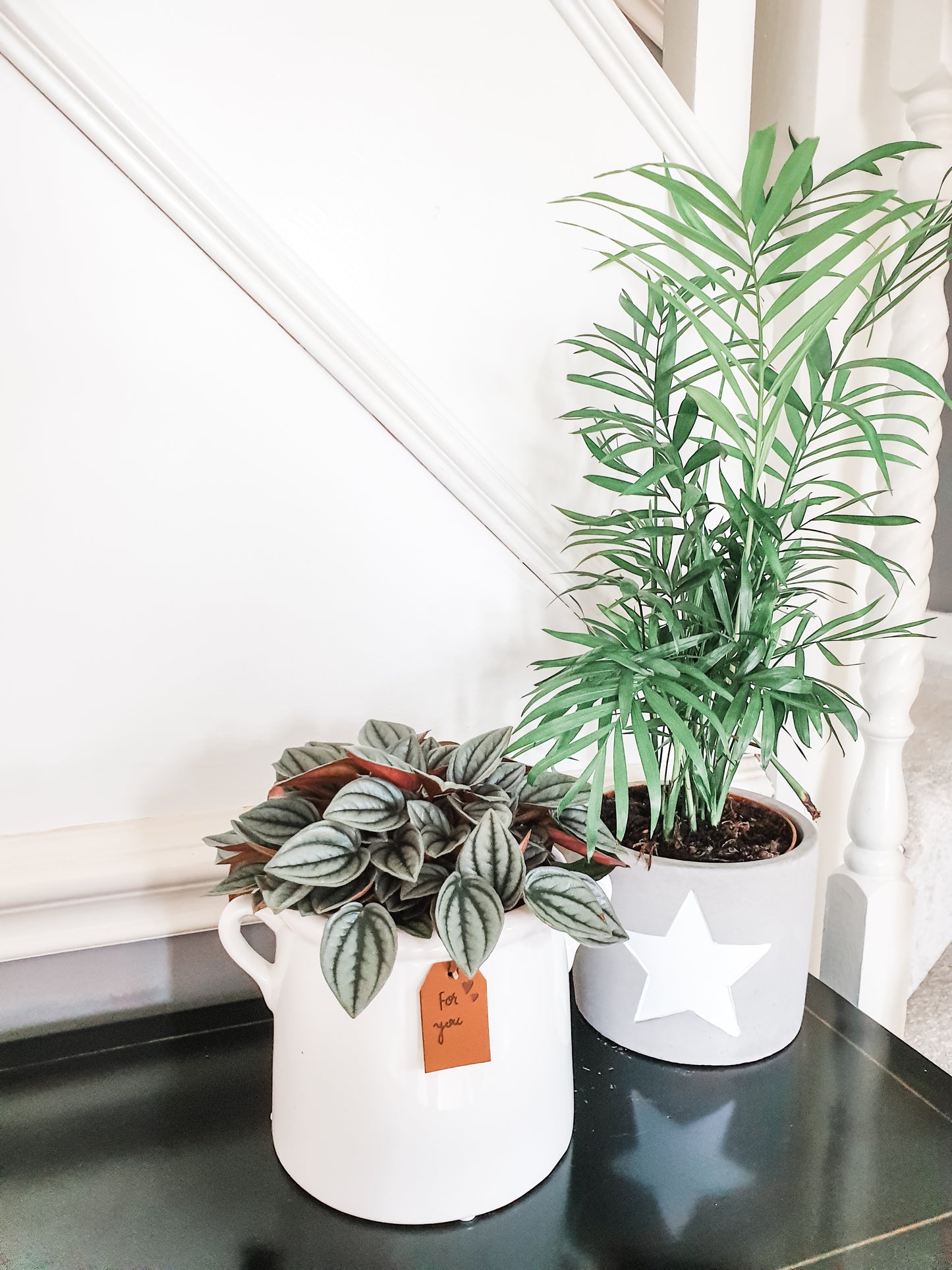 For You White Eared Pots