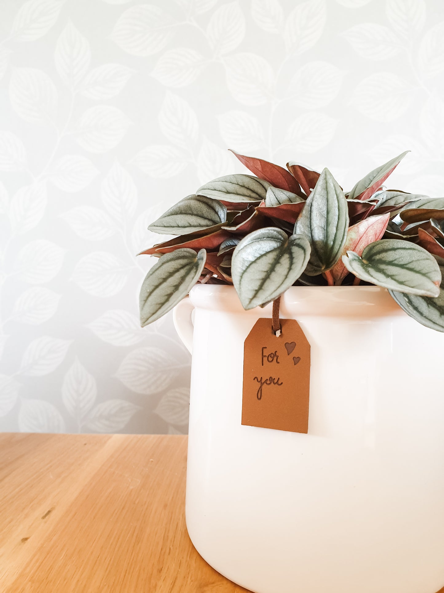 For You White Eared Pots