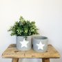 Grey Cement Planters with Handpainted Star