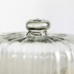 Ribbed Glass Cloche with Wooden Base | Medium