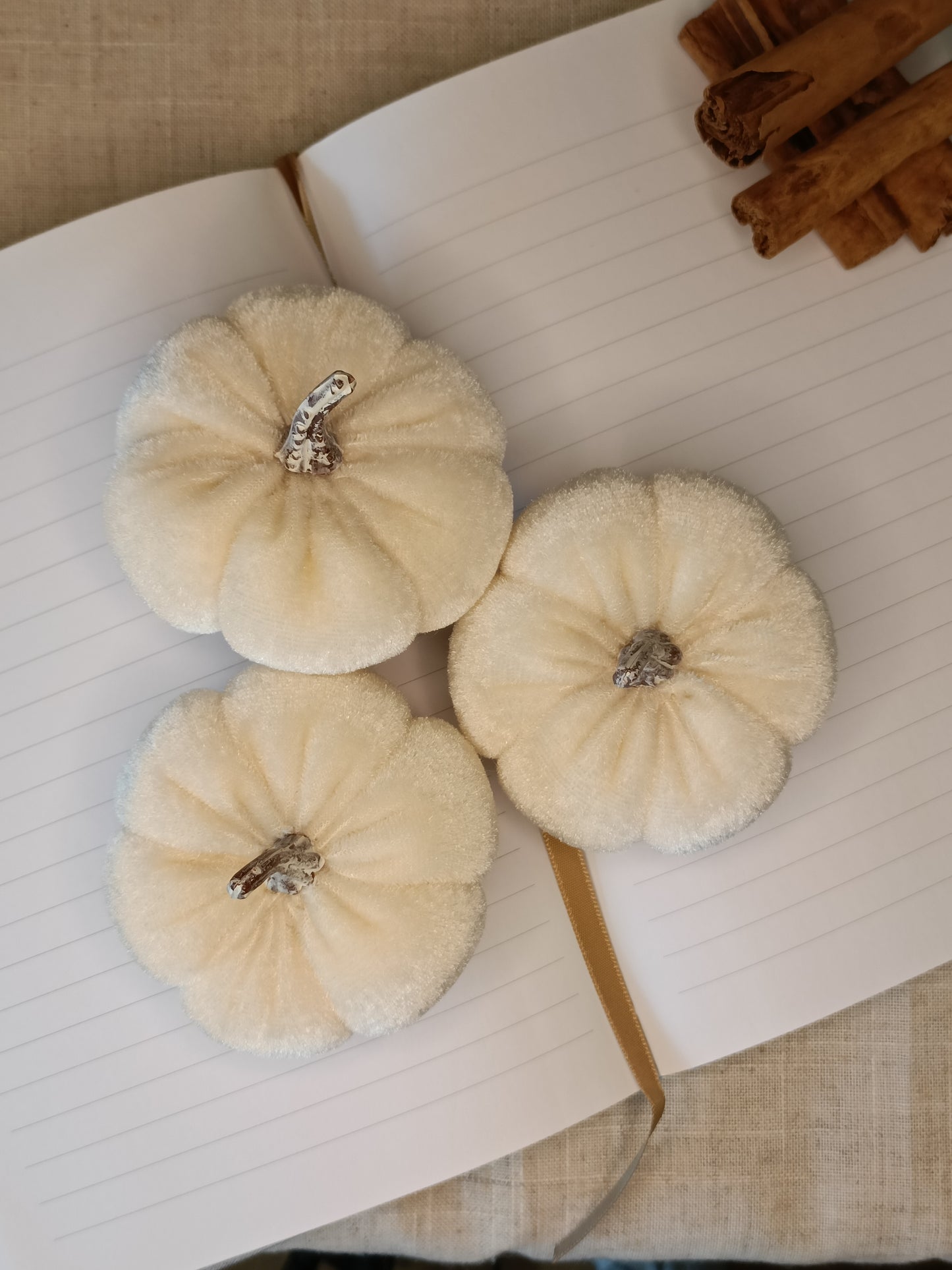 Three white velvet pumpkins on a notebook with cinnamon sticks