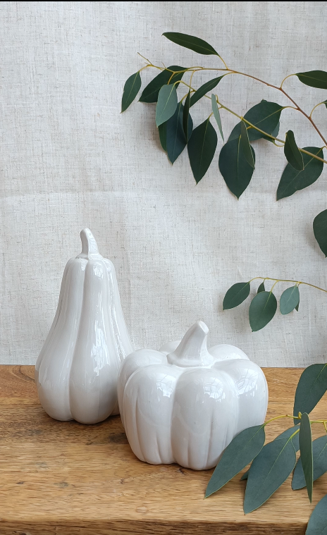 video showing ceramic pumpkin and squash set being placed on wooden board
