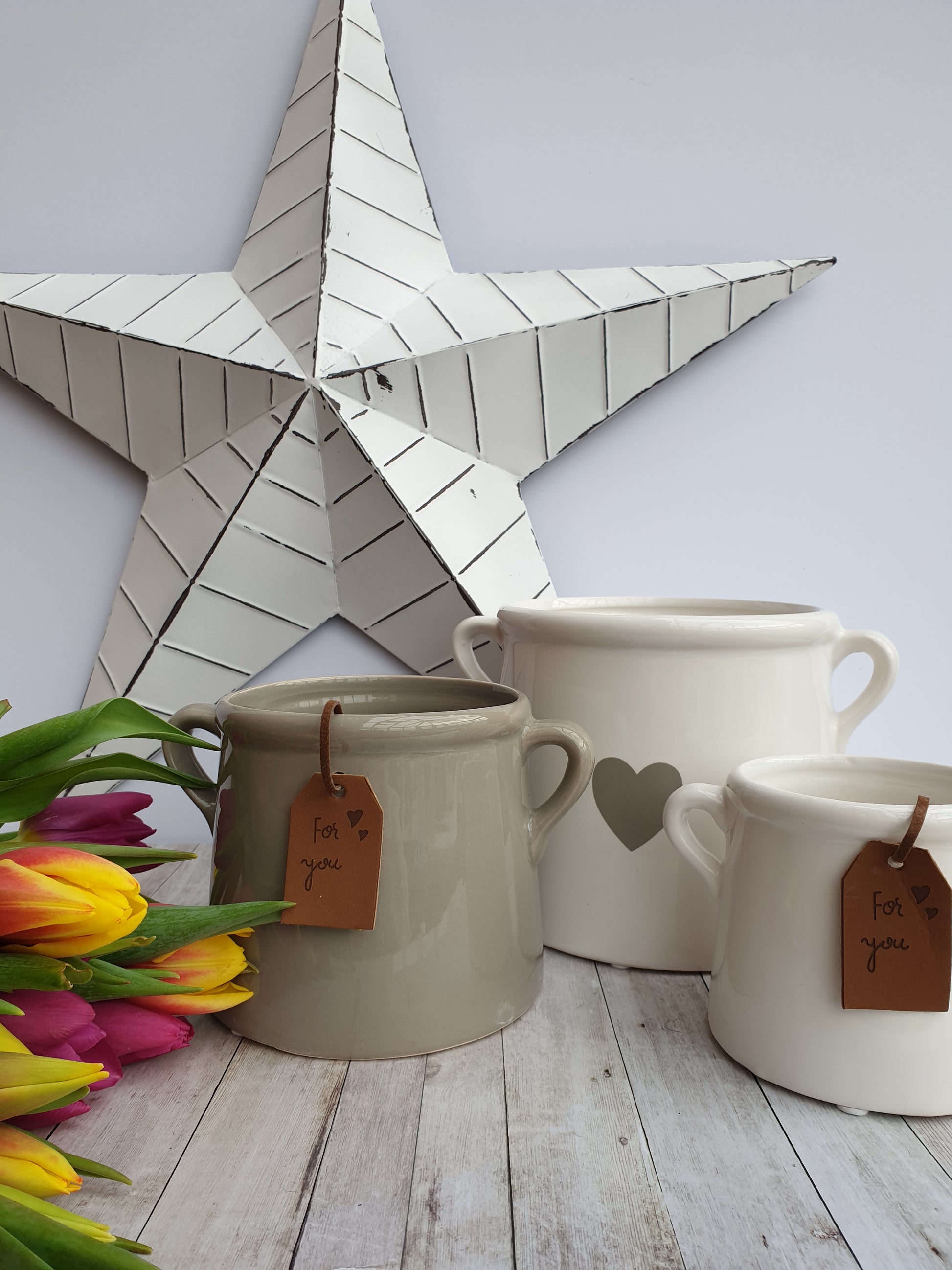For You Grey Eared Pots