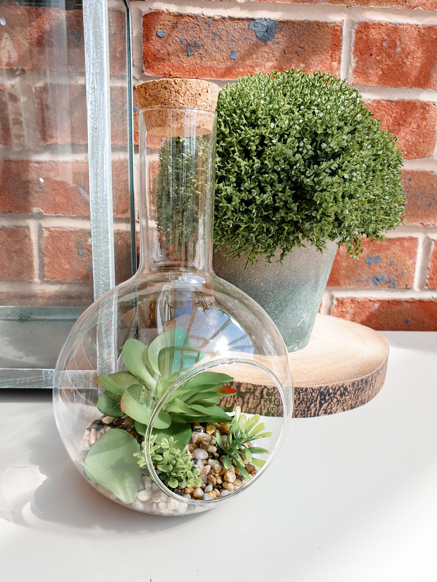 Faux Hebe in Pot