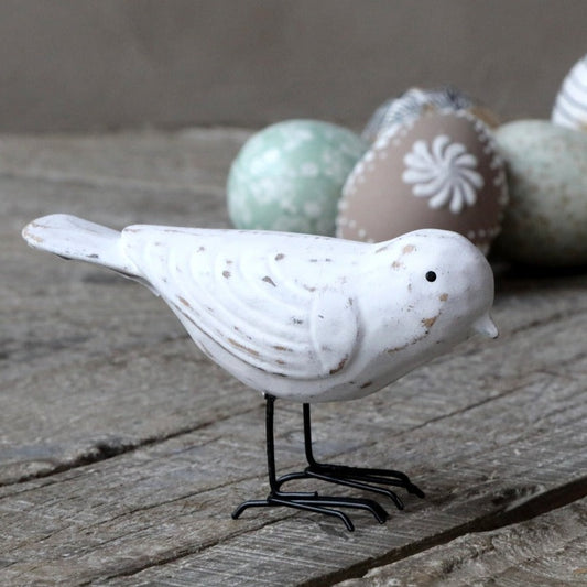 Little Bird