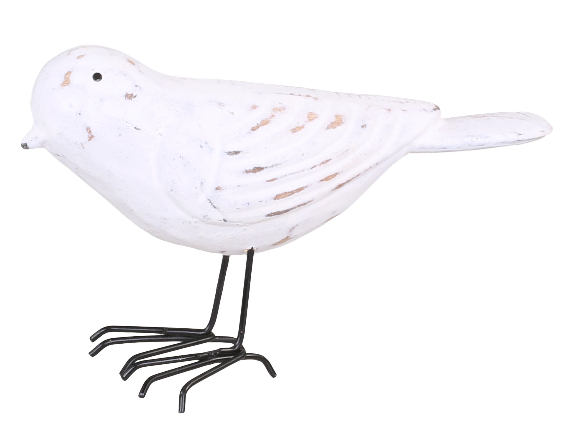 Little Bird