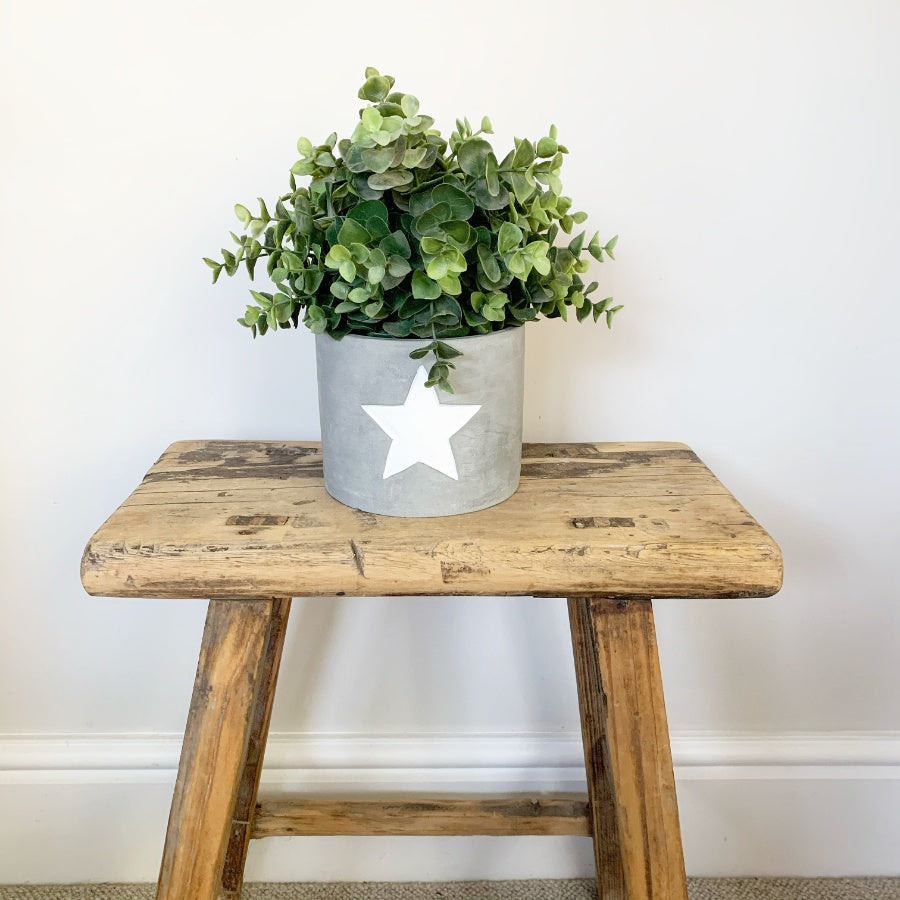 Grey Cement Planters with Handpainted Star